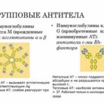 Является ли нормой старение плаценты на 36 неделе беременности?