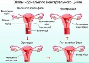 Месячные идут 2 раз с перерывом в неделю