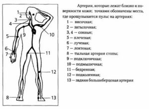 Пульсация по всему телу