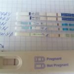 Можно ли заниматься сексом на ранней стадии беременности?