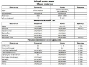 Пояснение результата анализа мочи