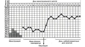 Может ли перед месячными температура тела меняться?