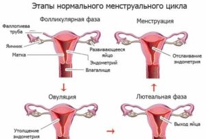 Сбился менструальный цикл