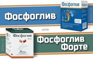 Чем отличается препарат Фосфоглив от Фосфоглив форте?