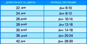 Когда наступит овуляция при цикле 28 дней?