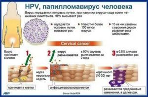 Донорство при вирусе папилломы человека