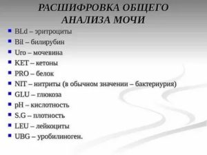 Расшифровка анализа мочи