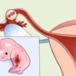 Можно ли сдавать общий анализ крови во время менструации?