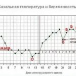 Прекращение меструации на фоне приема Джес плюс