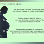 Отек плаценты при беременности
