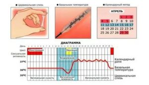 Как понять когда овуляция?